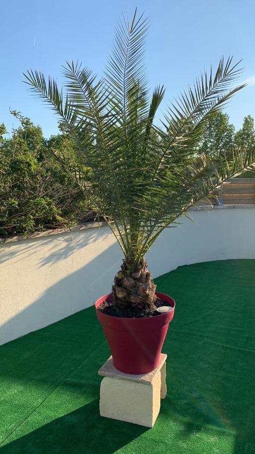 مبيت وإفطار Blanzaguet-Saint-Cybard Le Jardin Des Hirondelles المظهر الخارجي الصورة